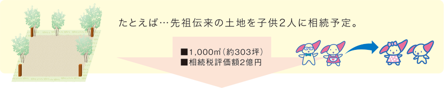 先祖伝来の土地を子供2人に相続予定